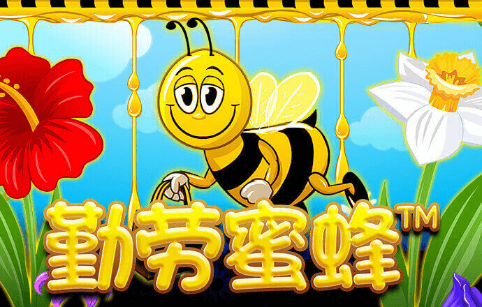 娱乐彩票平台app下载